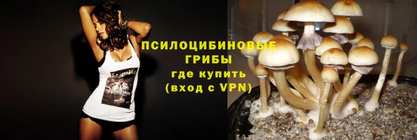 трава Инта