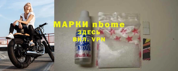трава Инта