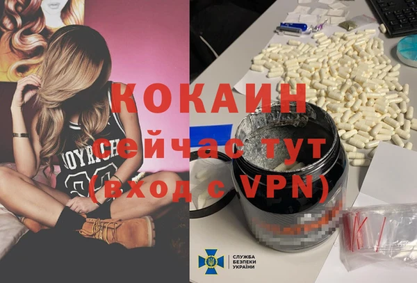 трава Инта