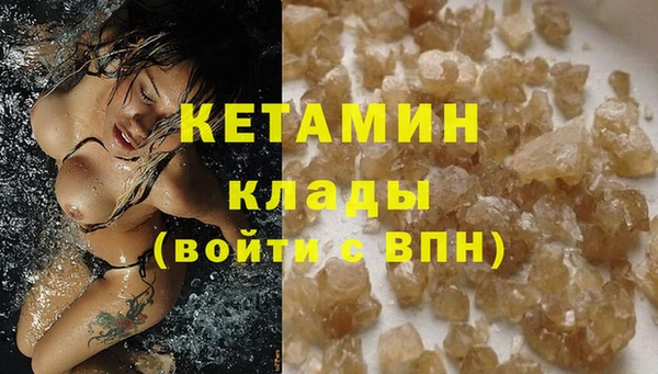 трава Инта