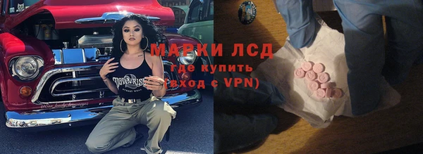трава Инта