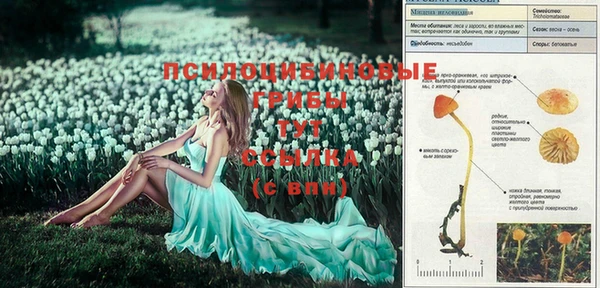 jwh Иннополис